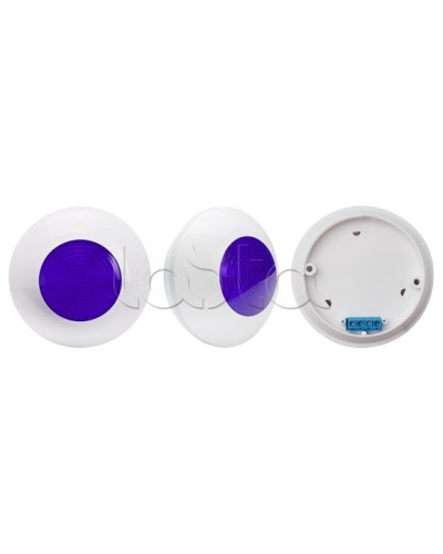 Оповещатель световой SLT Марс 12-24-СП (син) в Курске Оповещатели Pintop.ru